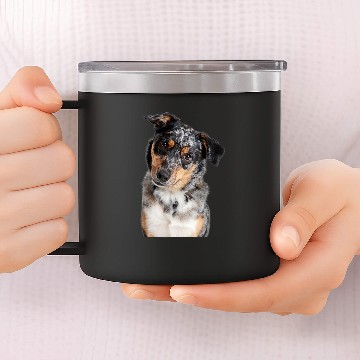 Discover Australian Shepherd 3 14oz Stainless Steel Tumblers