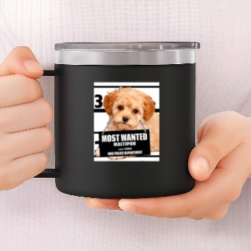 Discover Poodles mosts Wanted Maltipoo Maltese Miniature Poodle dog Poodle dog 14oz Stainless Steel Tumblers