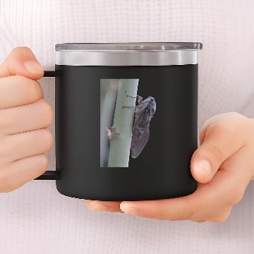 Discover Cicada Vector Cut Out 14oz Stainless Steel Tumblers