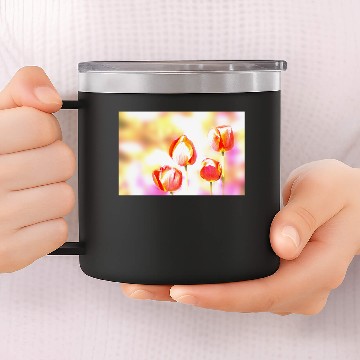 Discover High Key Tulip Quartet 14oz Stainless Steel Tumblers