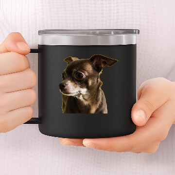 Discover dog - chihuahua 14oz Stainless Steel Tumblers