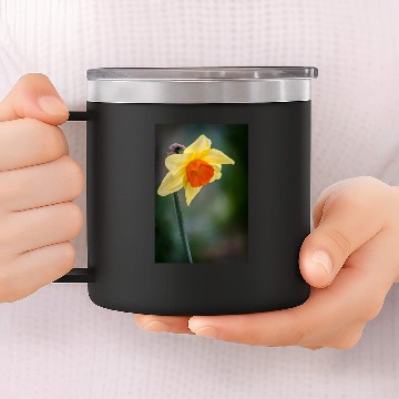 Discover Daffodil 14oz Stainless Steel Tumblers