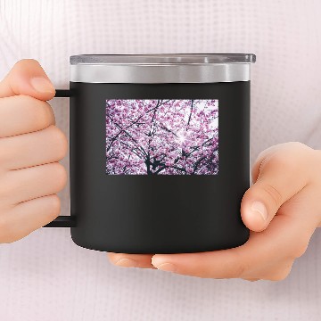 Discover Blooming Cherry Blossom 14oz Stainless Steel Tumblers