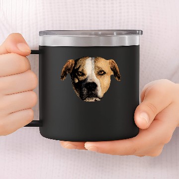 Discover American Stafford 14oz Stainless Steel Tumblers