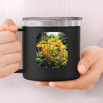 Discover Orange Azalea 14oz Stainless Steel Tumblers