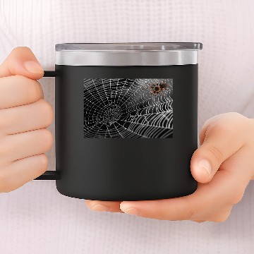 Discover Spiderweb 14oz Stainless Steel Tumblers