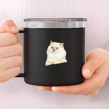 Discover Soft Kitty 14oz Stainless Steel Tumblers