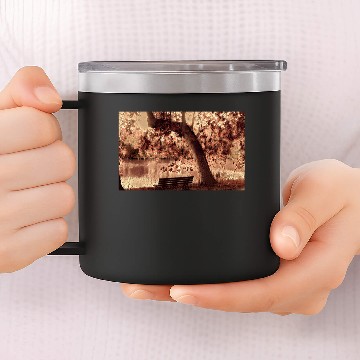 Discover Cherry Blossom Trees, Japan 14oz Stainless Steel Tumblers