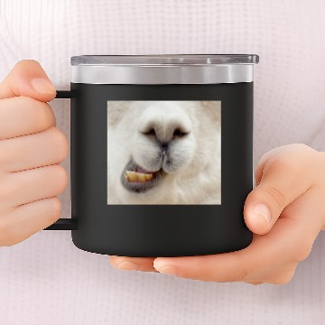 Discover Alpaca 14oz Stainless Steel Tumblers