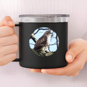Discover Red-tailed Hawk in Central Park 14oz Stainless Steel Tumblers