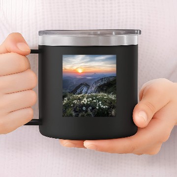 Discover FAITH can move mountains 14oz Stainless Steel Tumblers