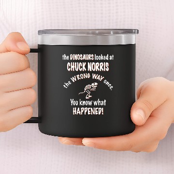 Discover Dinosaurs looked at Chuck Norris wrong way once 14oz Stainless Steel Tumblers