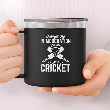 Discover Cricket - Everything in moderation except playing 14oz Stainless Steel Tumblers