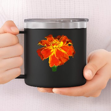 Discover One French Marigold 14oz Stainless Steel Tumblers