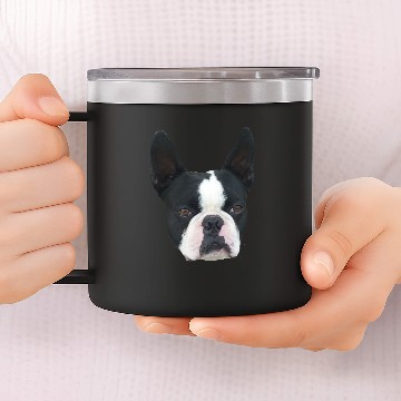 Discover Boston Terrier 14oz Stainless Steel Tumblers