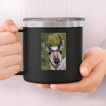 Discover Confidence 14oz Stainless Steel Tumblers