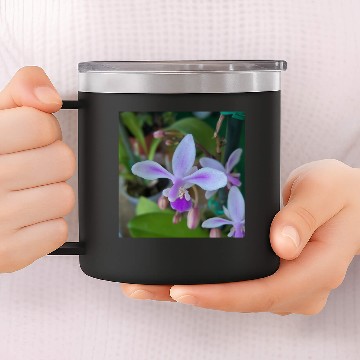 Discover Mini orchid up close 14oz Stainless Steel Tumblers