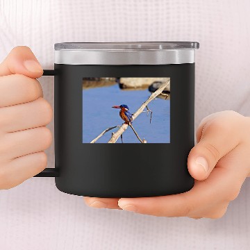 Discover Malachite Kingfisher 14oz Stainless Steel Tumblers