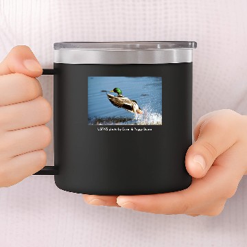 Discover Men's T / Mallard Duck 14oz Stainless Steel Tumblers