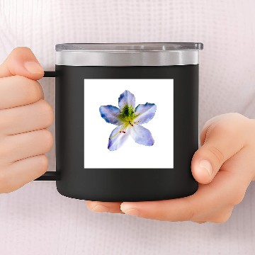 Discover Azalea 14oz Stainless Steel Tumblers