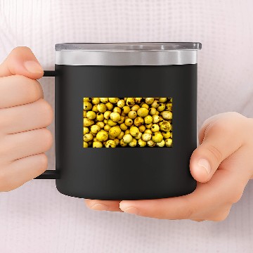 Discover Yellow Guava 14oz Stainless Steel Tumblers