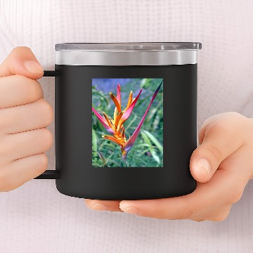 Discover Enhanced Heliconia Flower 14oz Stainless Steel Tumblers