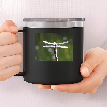 Discover Light grey dragonfly 14oz Stainless Steel Tumblers