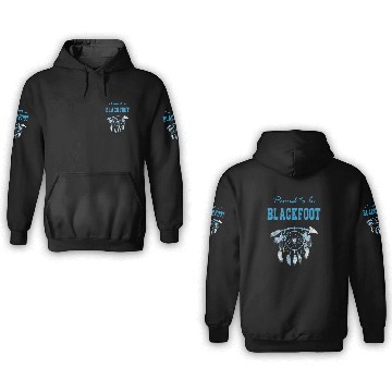 Discover Native American Dreamcatcher 3 3D Hoodies