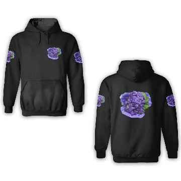 Discover flowers lilies tulips orchids sunflower dahlia ger 3D Hoodies