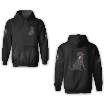 Discover Dog - Black Lab 3D Hoodies