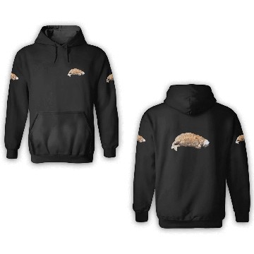 Discover Cat Nap 3D Hoodies