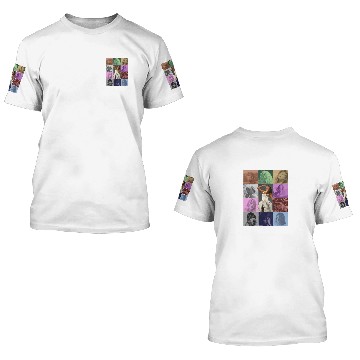 Discover Eras Tour Poster 3D T Shirts