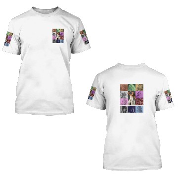 Discover Eras Tour Poster 3D T Shirts