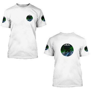 Discover Bear Pet Alaska Northern Lights Bear 3D T Shirts