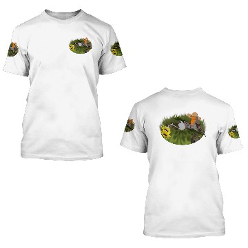 Discover Robin Bird Art Birdlover Birdwatcher Animal Biologist 3D T Shirts