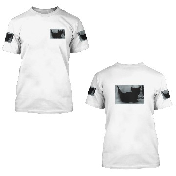 Discover Playboi Carti Cat Kitty Kitten 3D T Shirts Merch