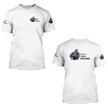 Discover HARAMBE RIP 3D T Shirts