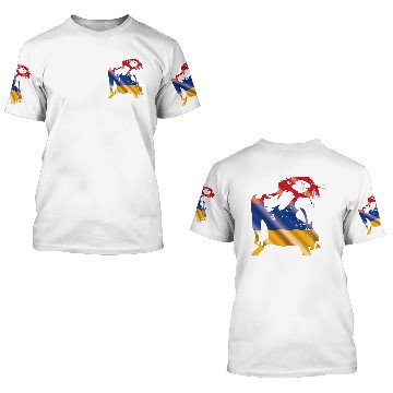 Discover Armenia 3D T Shirts
