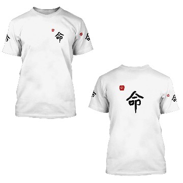 Discover Destiny - Chinese Character 3D T Shirts