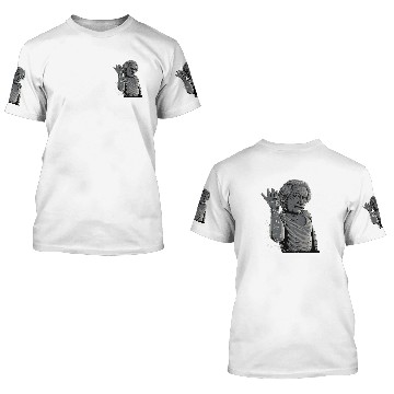 Discover Albert Einstein 3D T Shirts