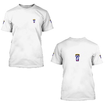Discover 173Rd Airborne Division Patch And Ranger Tab Gift 3D T Shirts