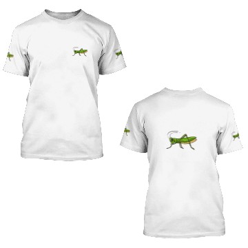 Discover Grasshopper Insect Gift Katydid Bug Cute 3D T Shirts