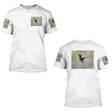Discover White-necked Jacobin Hummingbird 3D T Shirts