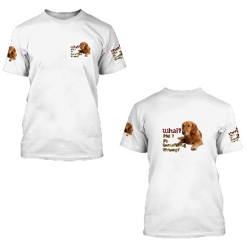 Discover Did I Do Something Wrong Super Cute Dog Design 3D T Shirts