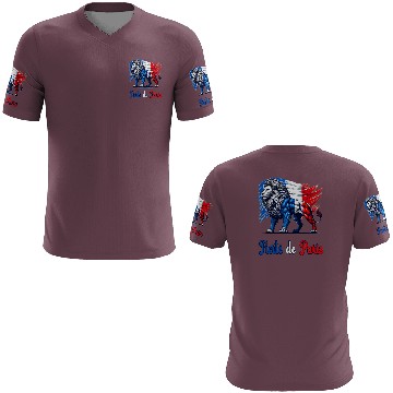 Discover The pride of Paris flag design 3D T Shirts