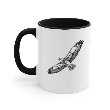 Discover Hawk Accent Mugs
