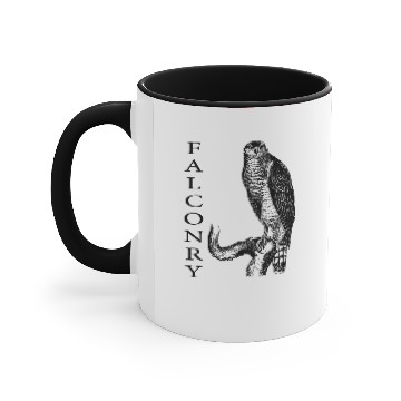 Discover Falconry Accent Mugs