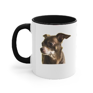 Discover dog - chihuahua Accent Mugs