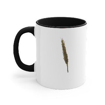 Discover cereal Accent Mugs