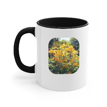Discover Orange Azalea Accent Mugs